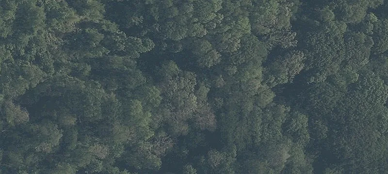Bundysburg Rd