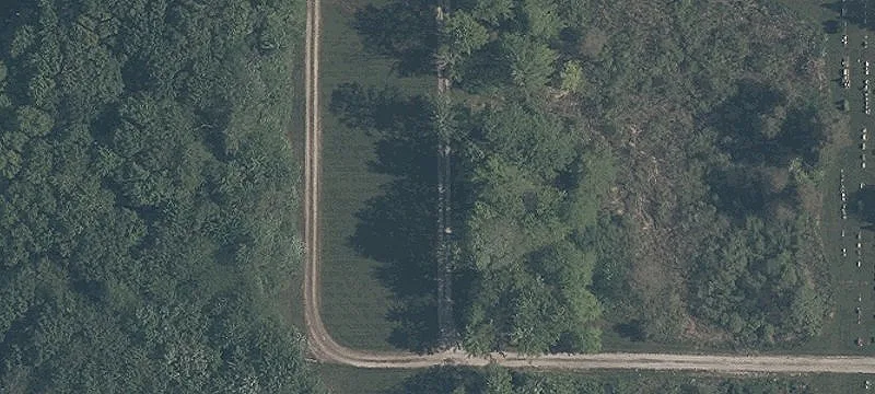 Madison Rd