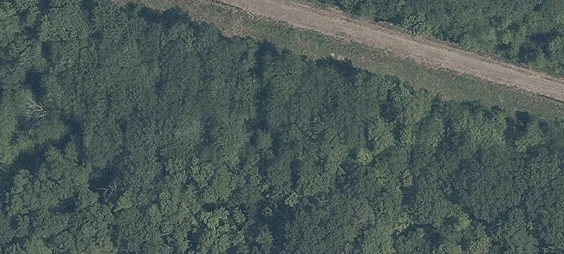 Shagbark Trl