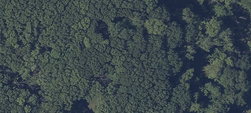 Dentzler Rd