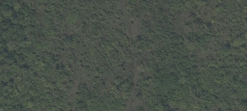 Needles Rd