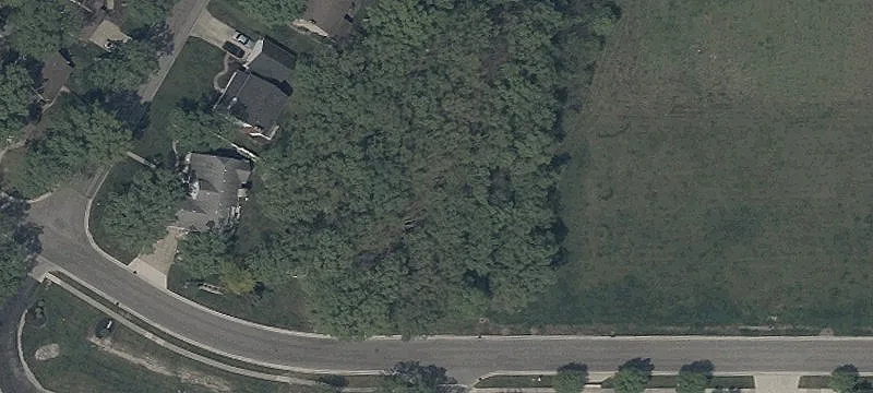 Rosewood