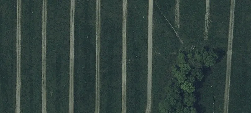 13944 State Rte 118