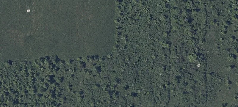 980 Br Rd