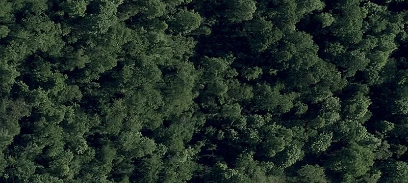 Echo Hill