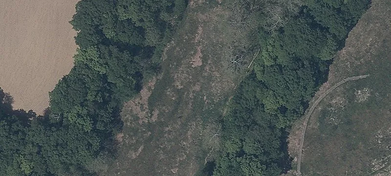 Georgetown Rd