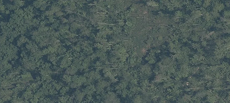 Old State Rd