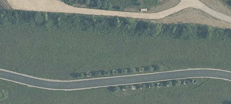 Wildcat Rd