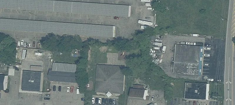 Buckwheat Rd