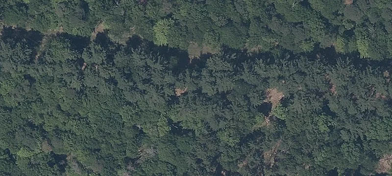 Lipkey Rd