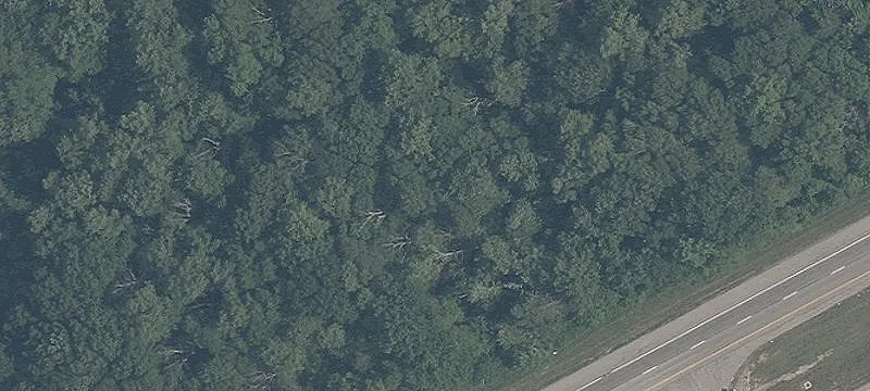 Dayton Rd