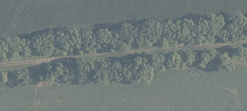 Woodstock Rd