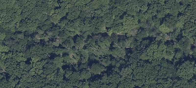 Naigle Rd