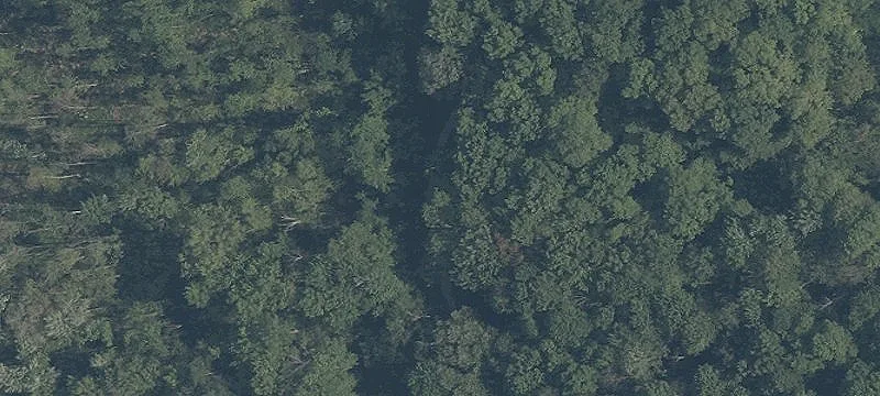 Old State Rd