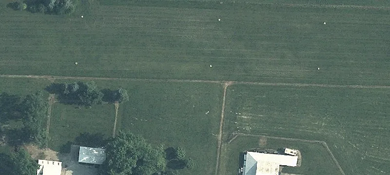 State Rte 29