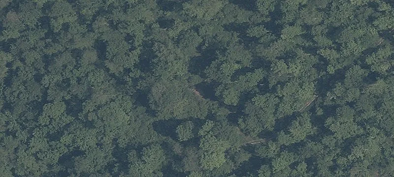 Old State Rd