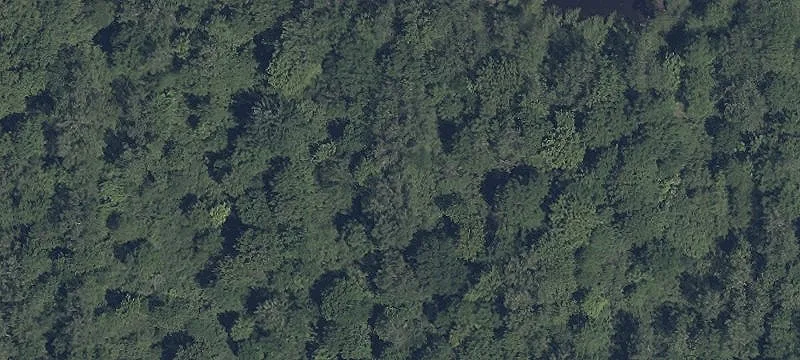 Rear Land Land