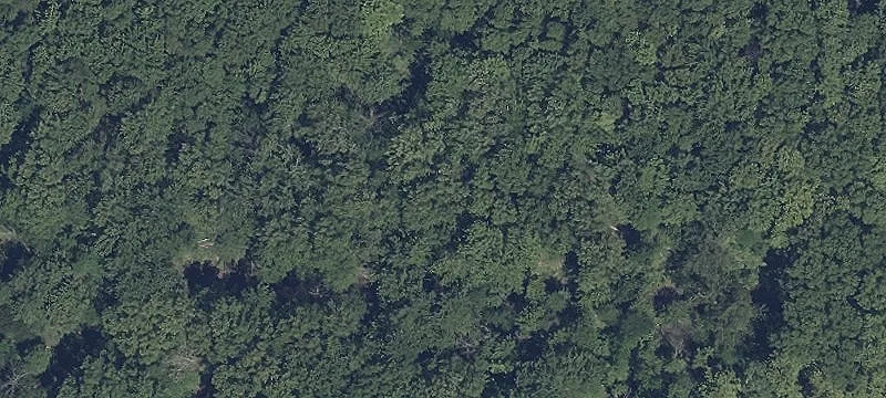 Naigle Rd