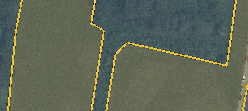 Long Dr