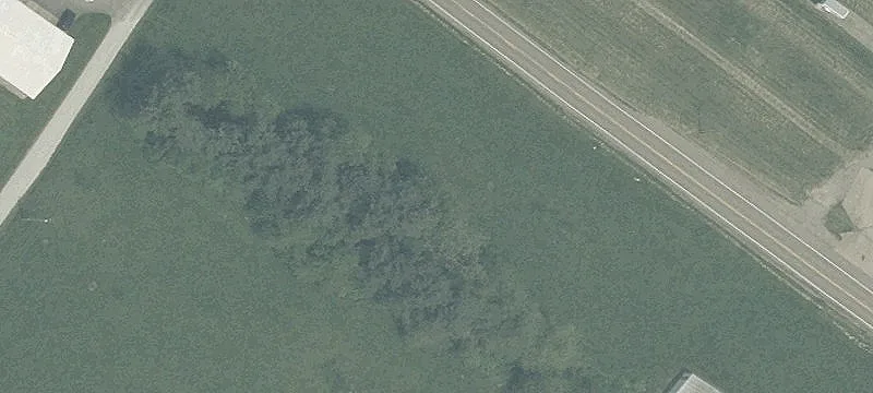 State Rte 516