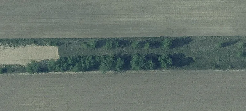 State Rte 49