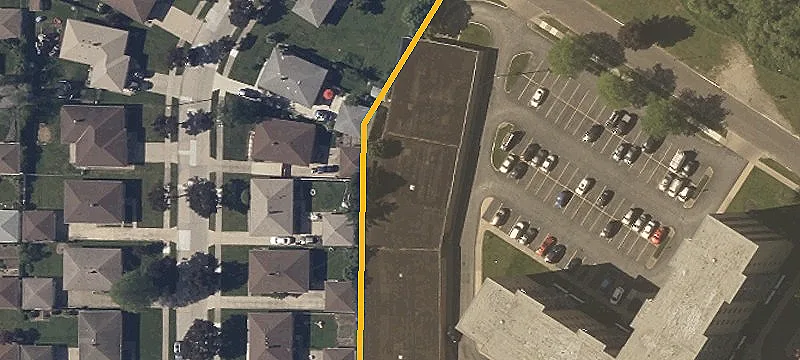 Ivy Wood Dr