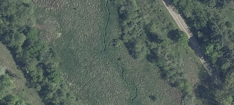 Black Oak Rd