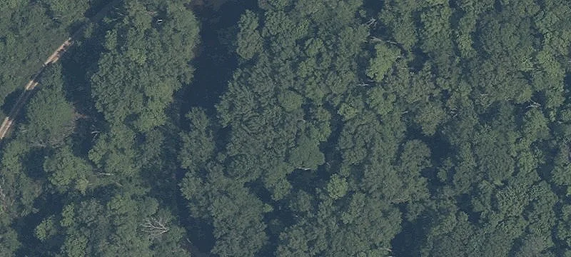 State Rte 82