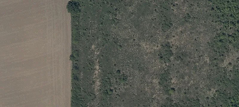 Wahl Rd