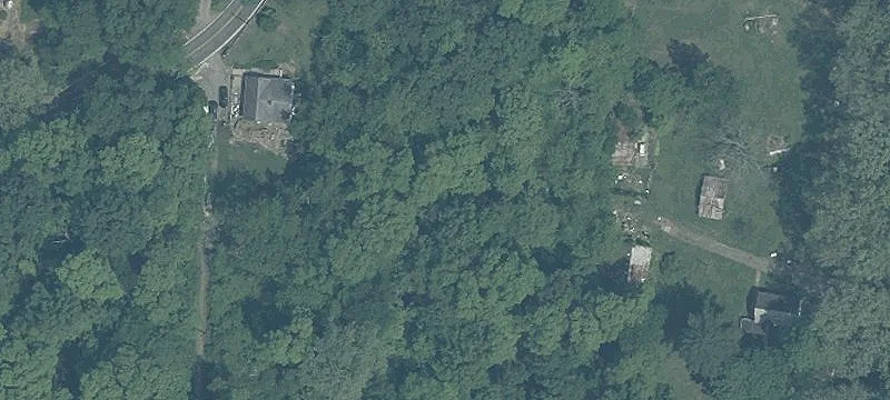 Birch Dr