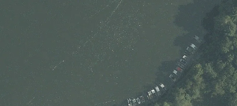 Petersburg Marina Campg