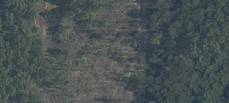 Arbor Rd