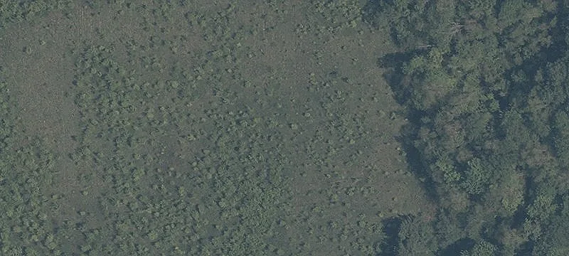 Cascade Rd