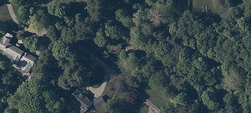 Chippewa Rd