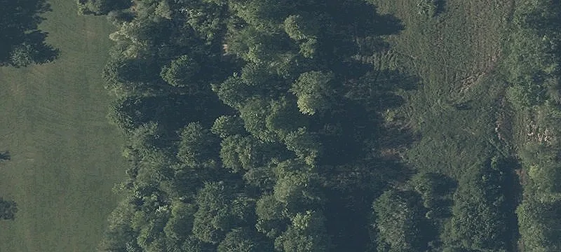 Cochran Rd