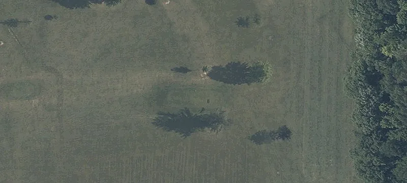 858 Case Rd