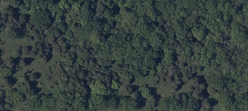 Monaghan