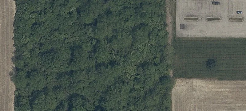 Wales Rd