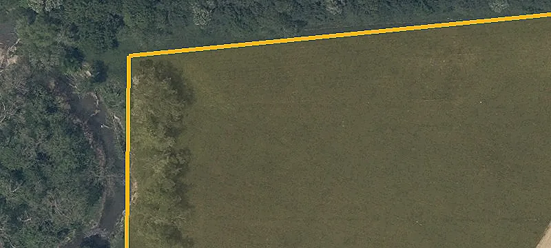 Palmyra Rd