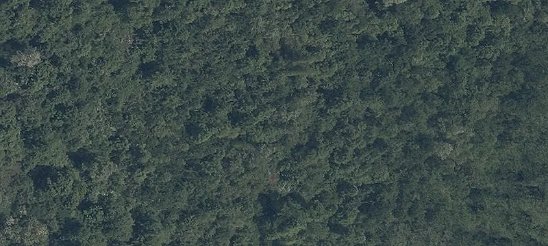 Ctr Rd