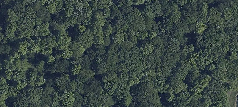 Rear Land Land