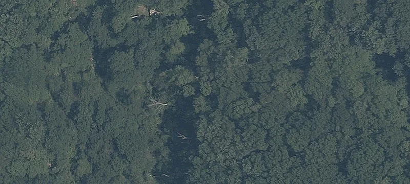 Cascade Rd