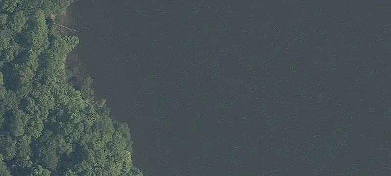 Princeton Rd