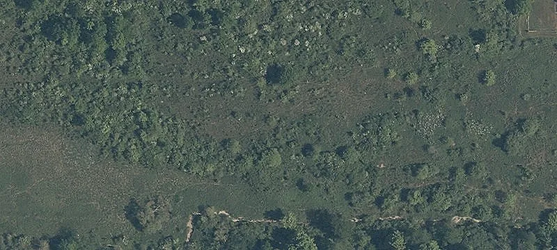 State Rte 43