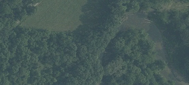 State Rte 521