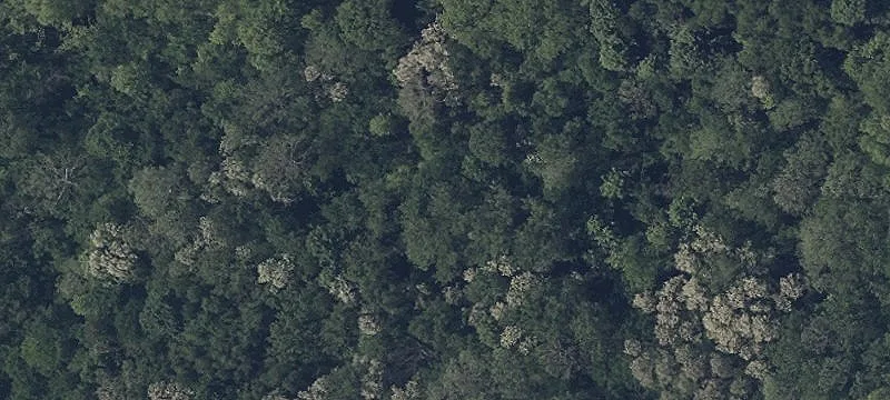 Watkins Rd