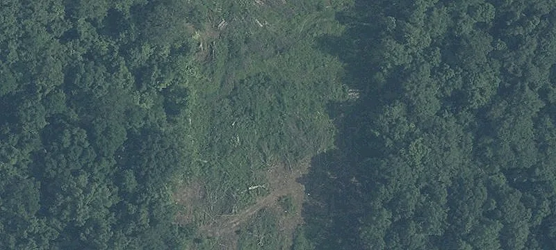 4458 Nn Rd
