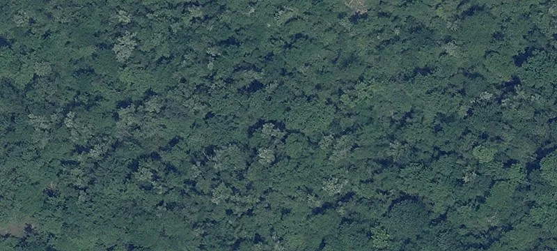 Africa Rd