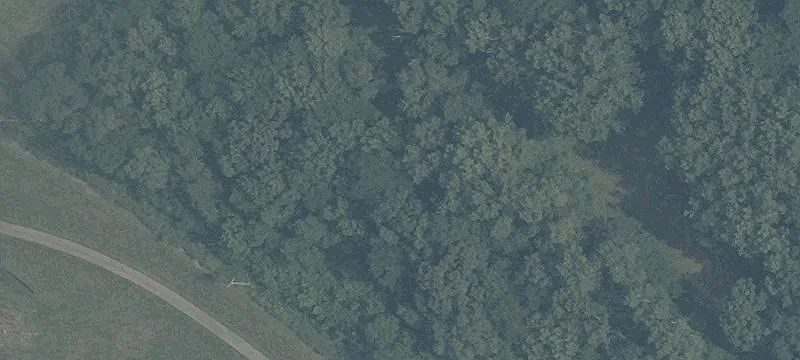 Dye Ml Rd