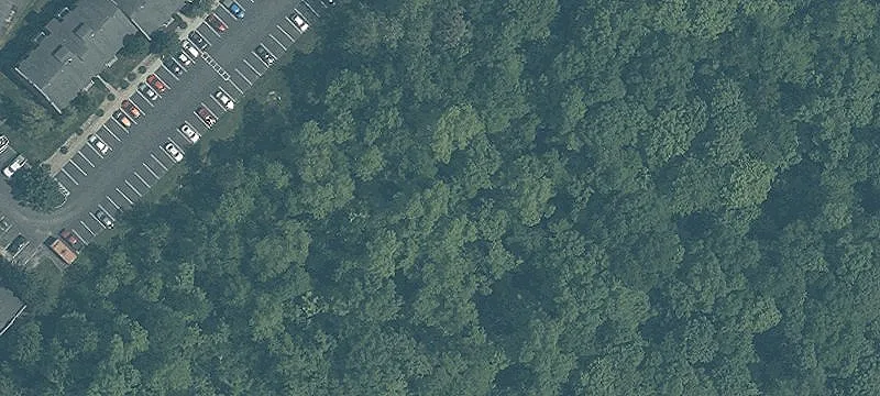 Br Hl Guinea Rd